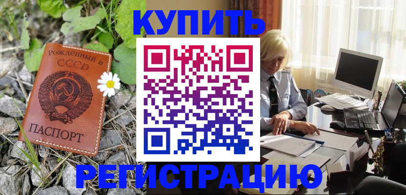 временная регистрация поиск в Мурманской области