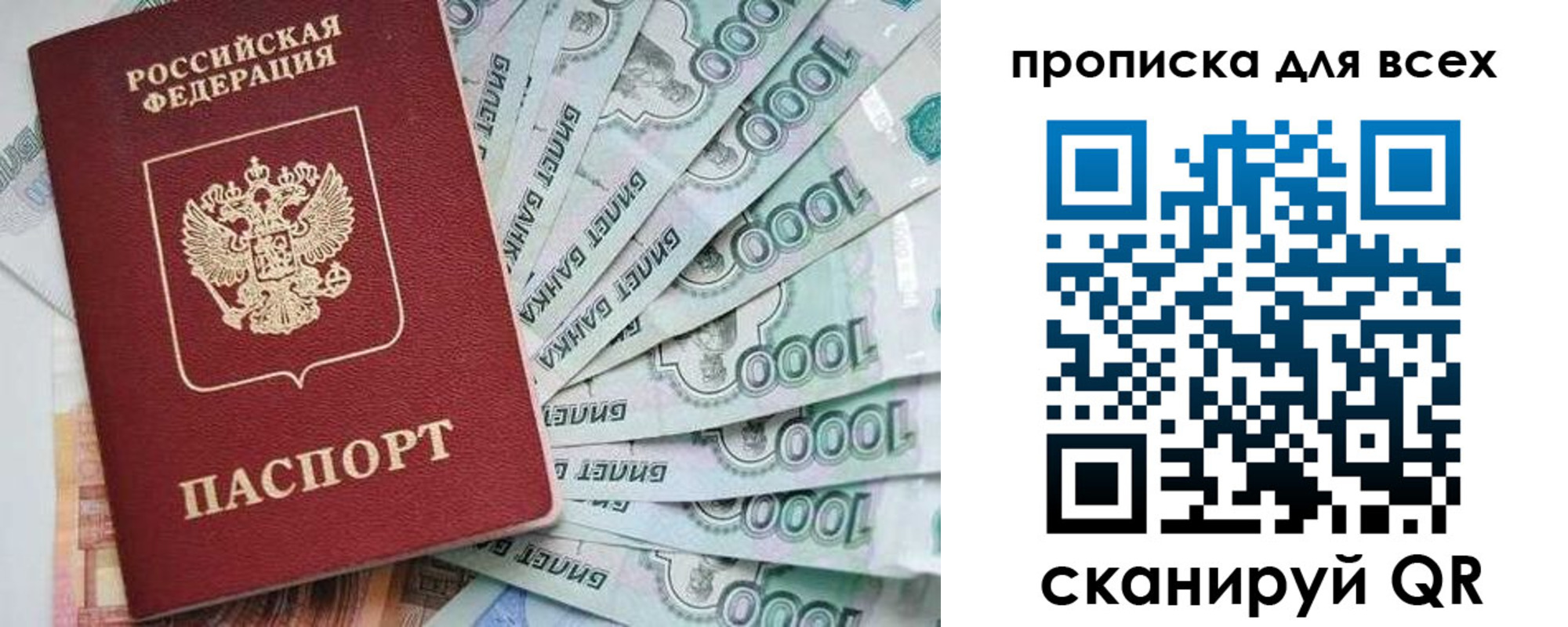 прописка гарантия в Мурманской области